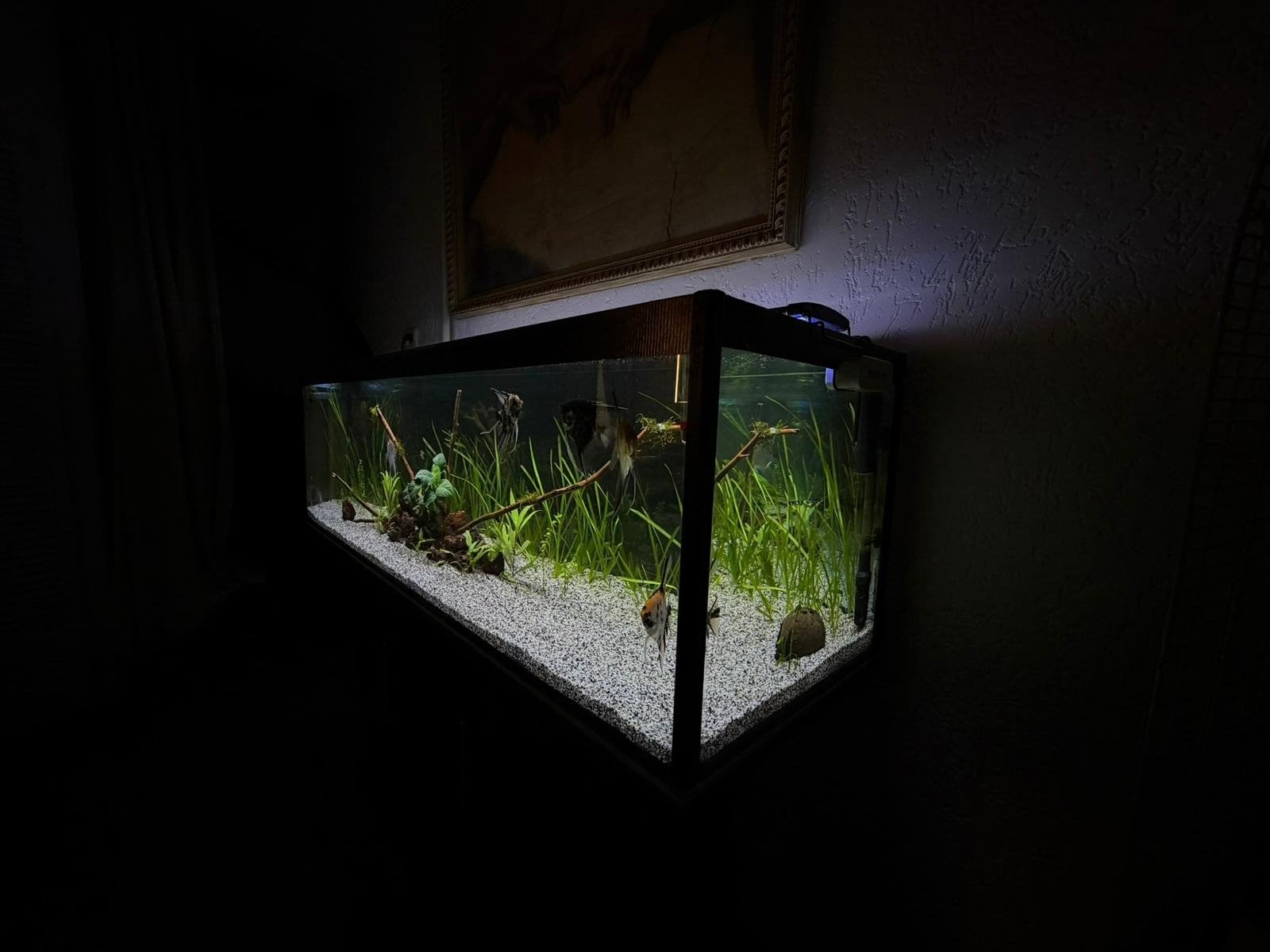 Aquarium, Ophalen, Leeg aquarium