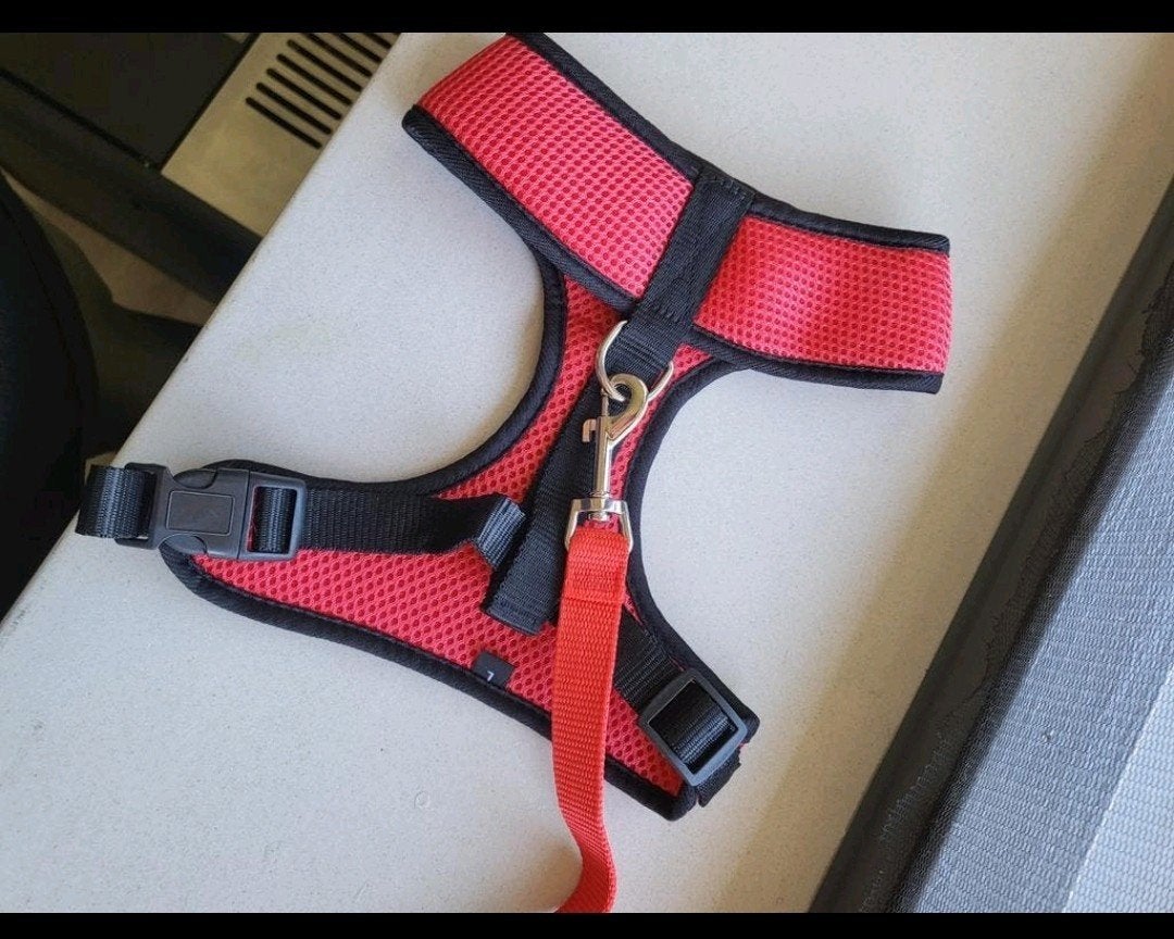 hondentuigje maat m rood, Ophalen
