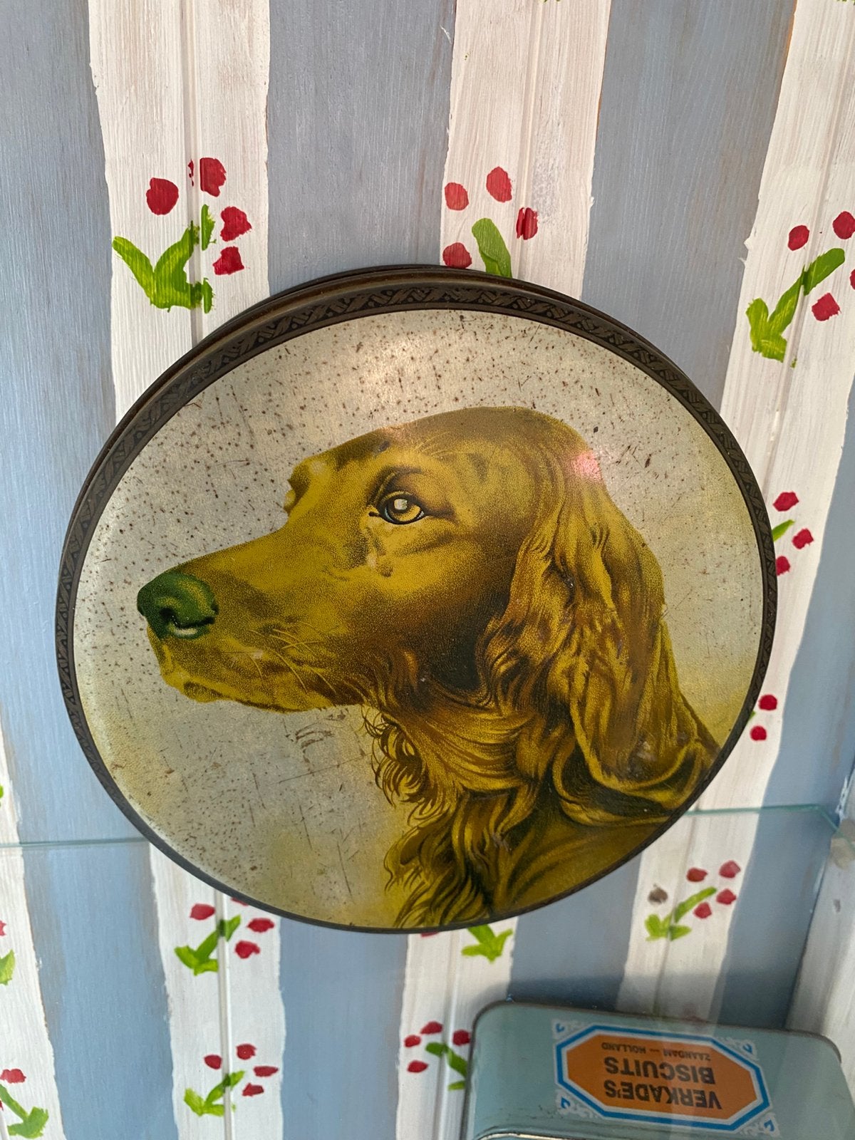 Honden blik rond, Ophalen, Zo goed als nieuw