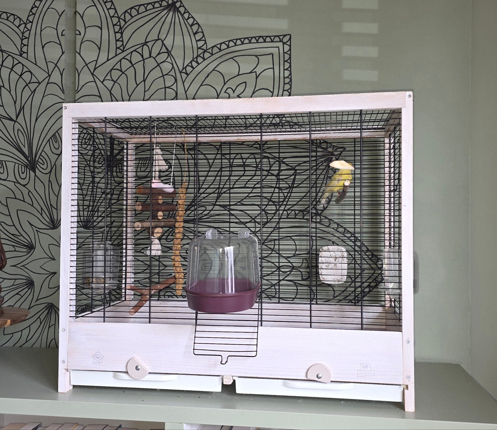 Vogelkooi Ferplast, Dieren en Toebehoren, Vogels | Hokken en Kooien, Ophalen, Gebruikt, Metaal, Vogelkooi
