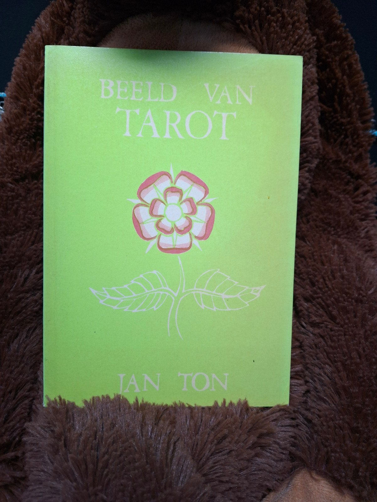 Beeld van Tarot - Jan Ton (8e druk), Boeken, Gelezen, Tarot of Kaarten leggen, Ophalen of Verzenden, Jan Ton