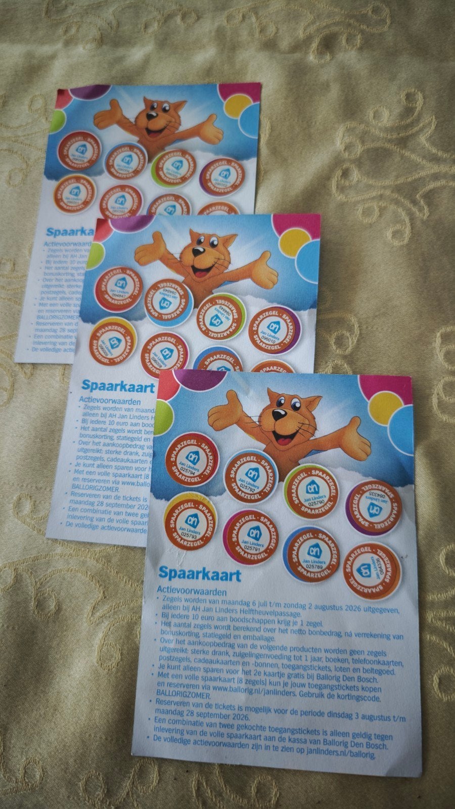 3 x volle spaarkaart, 2e kaartje gratis Ballorig, Drie personen of meer, Kortingskaart
