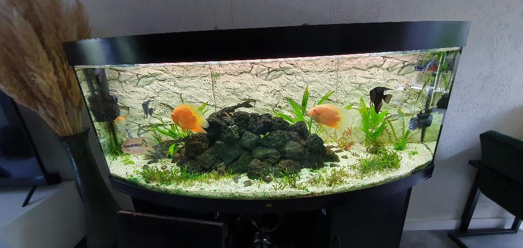 Aquarium juwel vision 450, Dieren en Toebehoren, Vissen | Aquaria en Toebehoren, Ophalen, Gebruikt, Inclusief deksel, Leeg aquarium
