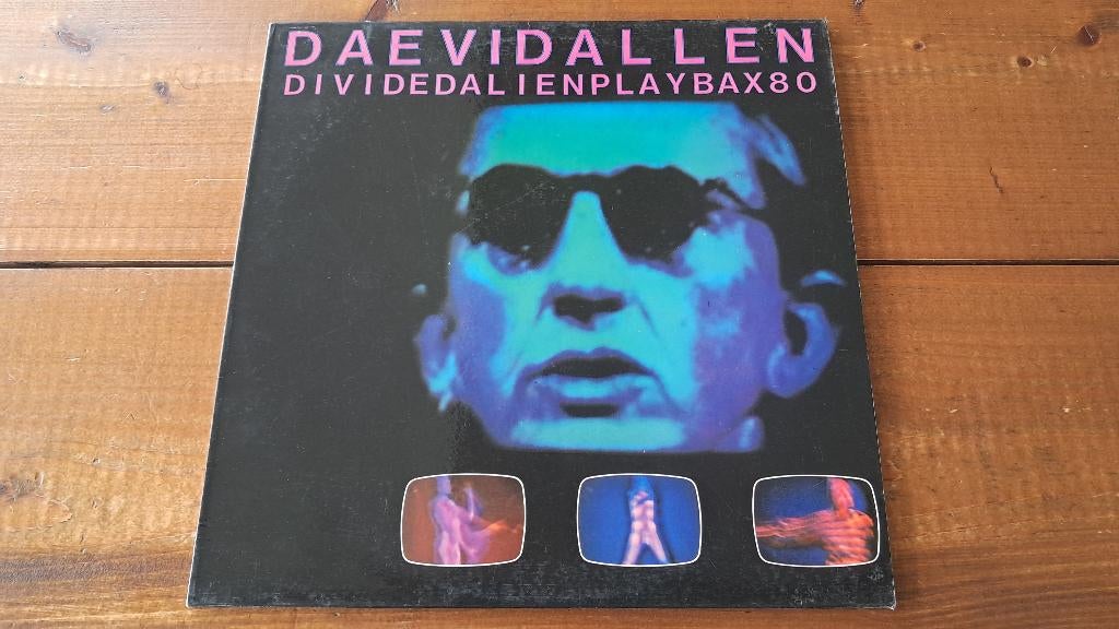 Daevid Allen - Divided Alien Playbax 80 ( Gong ), Cd's en Dvd's, Vinyl | Rock, Ophalen of Verzenden, Gebruikt, 12 inch, Overige genres