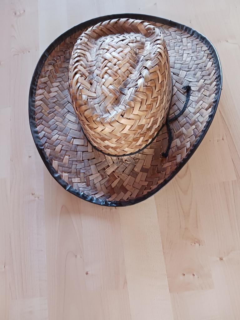 Cowboyhoed Ponypark Slagharen, Kleding | Heren, Hoeden en Petten, Hoed, Geen merk, Gedragen, One size fits all
