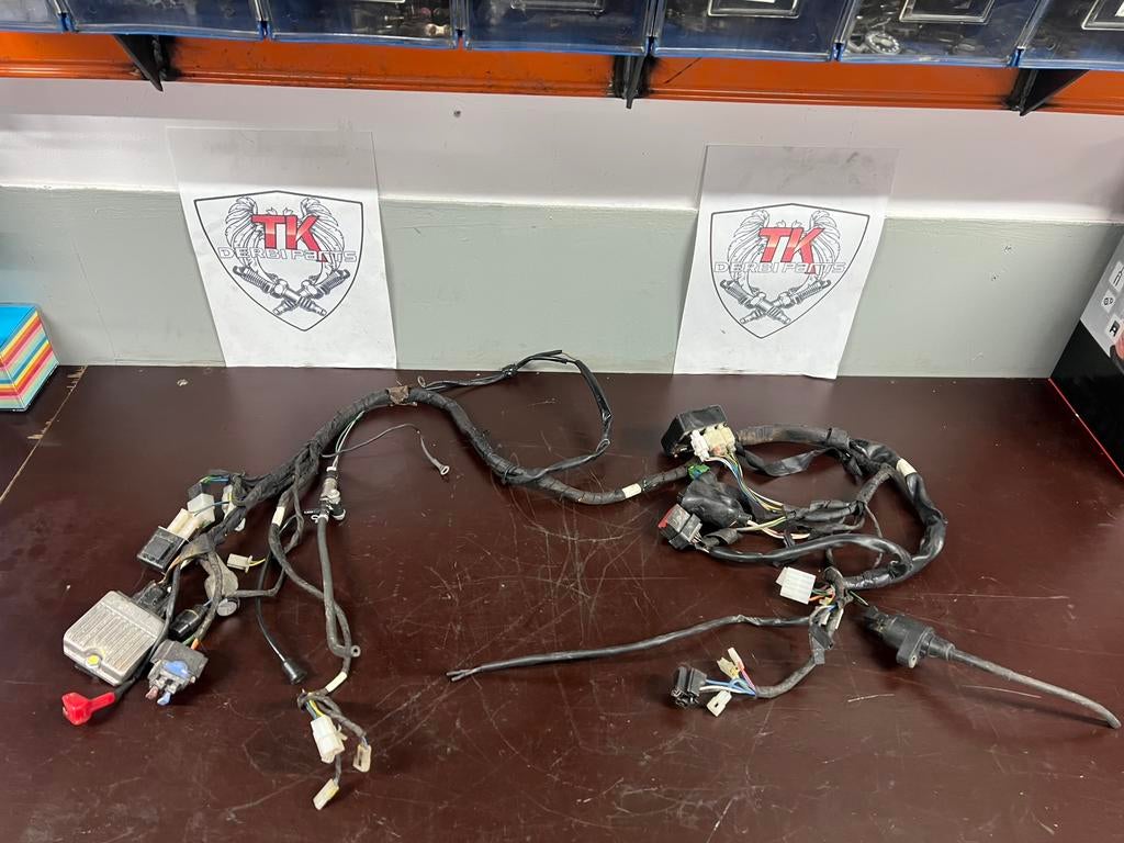 Derbi/aprilia euro 4 kabelboom, Fietsen en Brommers, Gebruikt, Overige typen, Ophalen of Verzenden, Nvt