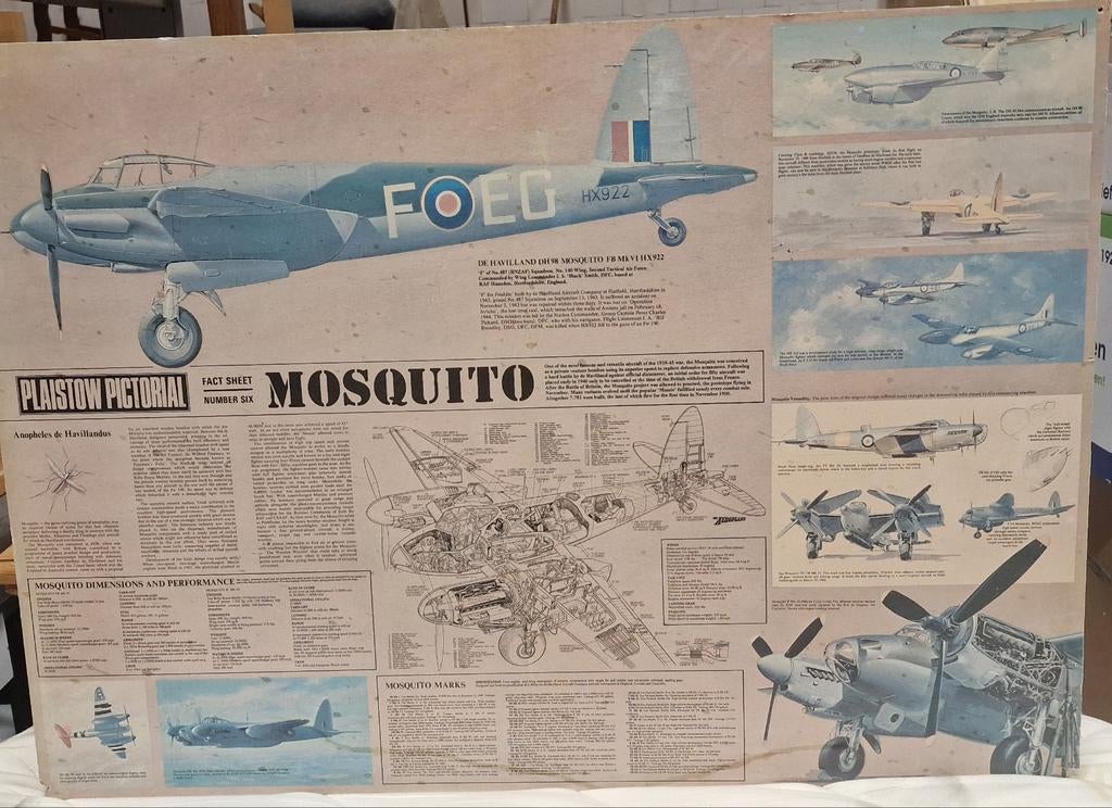 Vintage Plaisow Pictorial Mosquito Fact Sheet, Antiek en Kunst, Antiek | Schoolplaten, Ophalen of Verzenden, Geschiedenis