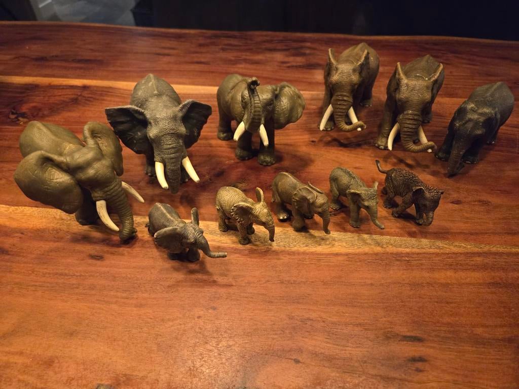 Schleich Olifanten Familie - 6 Volwassen, 5 Kalfjes, Ophalen of Verzenden, Gebruikt