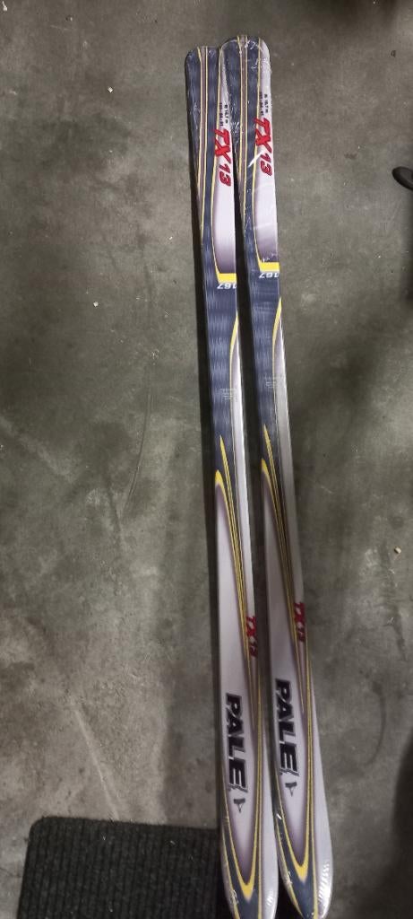Ski's, 160 tot 180 cm, Zo goed als nieuw, Skiën, Ski's