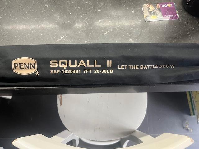 Nieuwe Penn Squall II 20-30lb 7ft boothengel, Ophalen of Verzenden, Nieuw, Werphengel