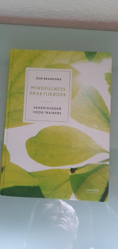 Rob Brandsma - Mindfulness praktijkboek, Boeken, Rob Brandsma, Ophalen of Verzenden, Ontwikkelingspsychologie, Zo goed als nieuw