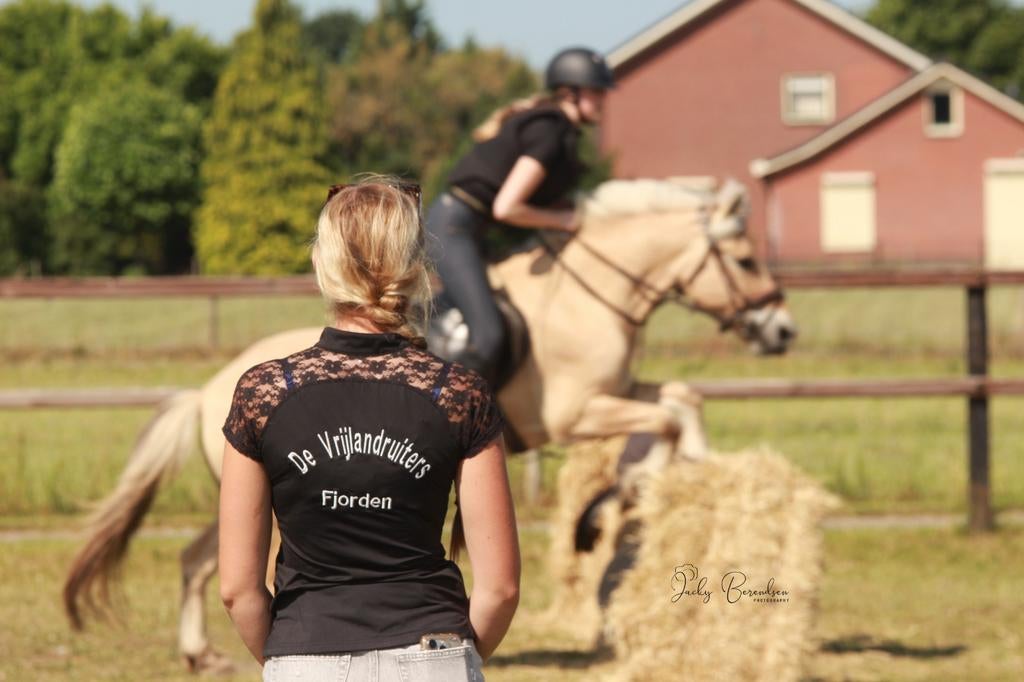 Paardrijlessen, beginnersles, groepslessen, Paardrijles of Ponykampen