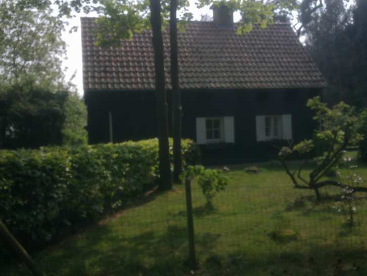 Knus huisje, mooiste plekje Nederland ligt in Brabant, Vakantie, Noord-Brabant, 2 slaapkamers, In bos, Landelijk