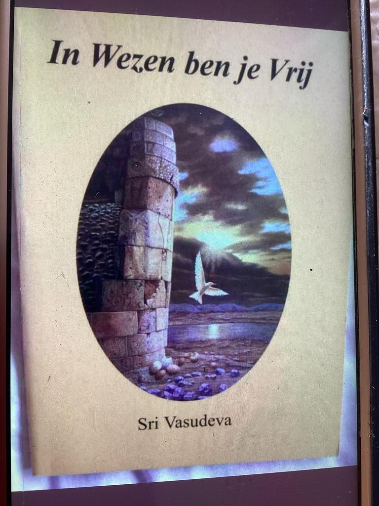 In Wezen ben je Vrij - Sri Vasudeva, Achtergrond en Informatie, Spiritualiteit algemeen, Ophalen of Verzenden, Zo goed als nieuw
