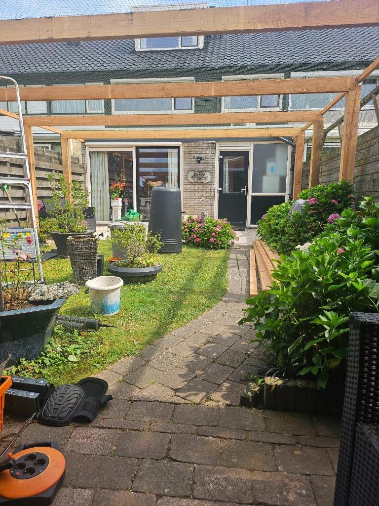 Katten beschermnet voor hele tuin, Kater