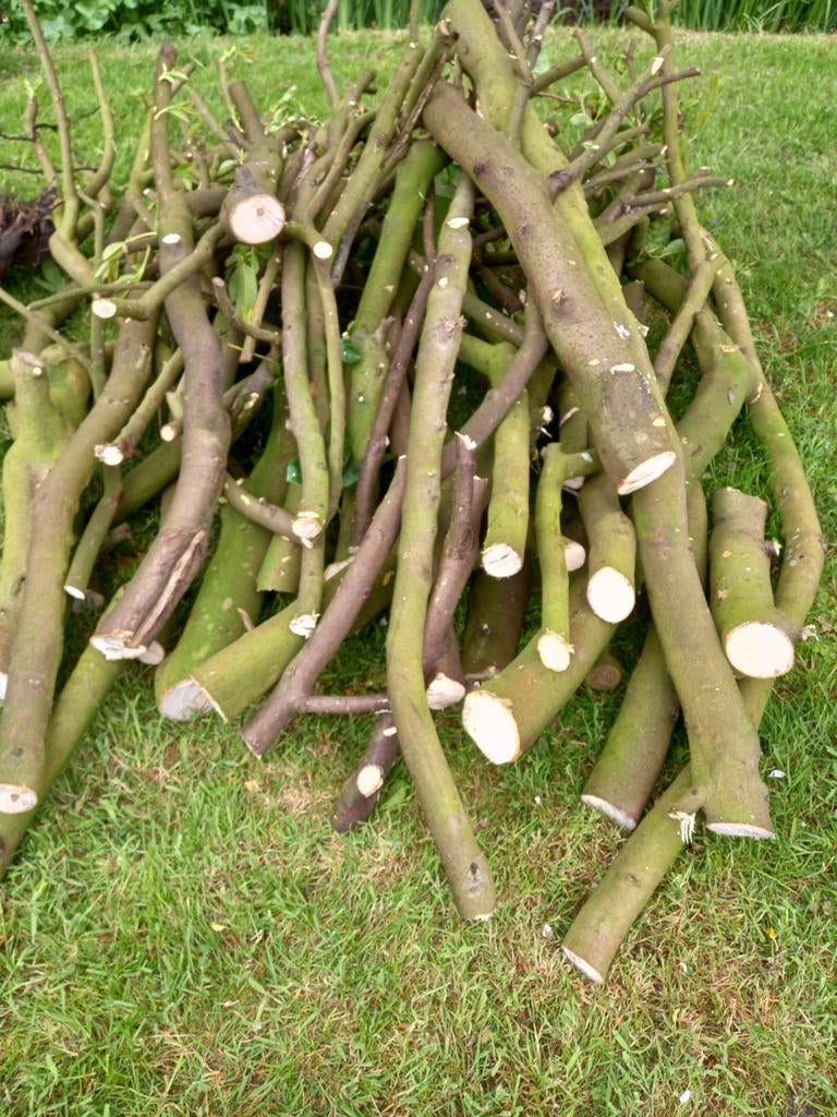 Haard/vuurkorf hout, Tuin en Terras, Haardhout, Minder dan 3 m³, Ophalen, Overige houtsoorten, Takken