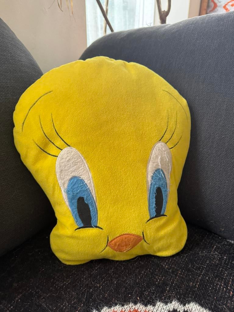 Tweety Looney Tunes kussen, Ophalen of Verzenden, Looney Tunes, Gebruikt, Gebruiksvoorwerp