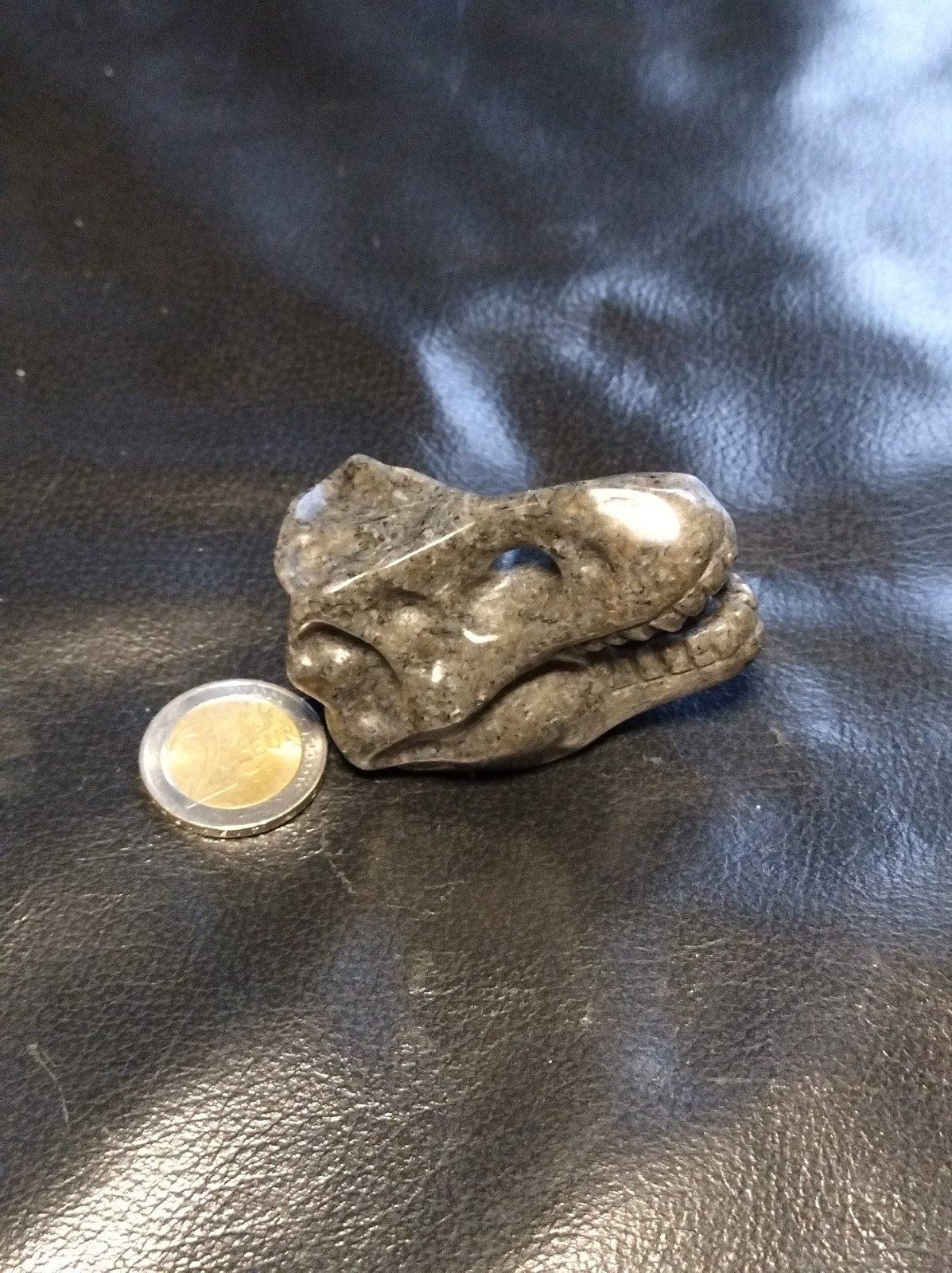 yooperliet t-rex schedel, Ophalen of Verzenden, Mineraal