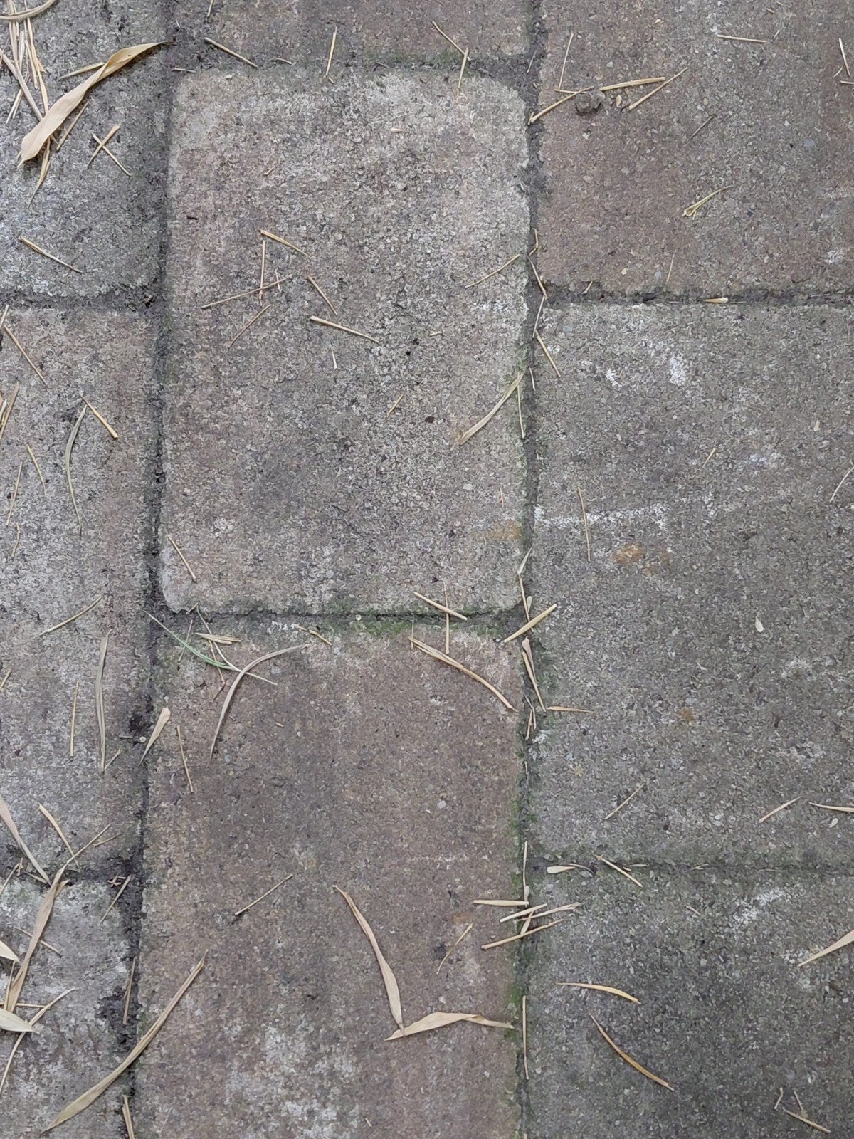 Beige/Zandkleurige tuintegels 20x30x5 cm - Zelf Schoonmaken, Tuin en Terras, Tegels en Klinkers, Ophalen, Gebruikt, Keramiek, 10 m² of meer