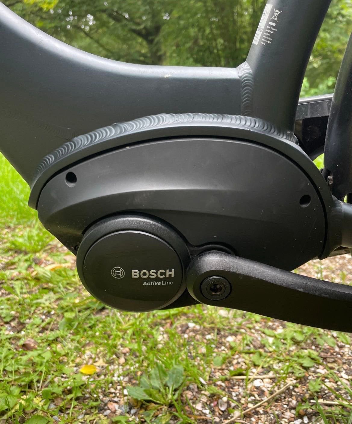 Foto 5 van Gazelle met nieuwe bosch motor
