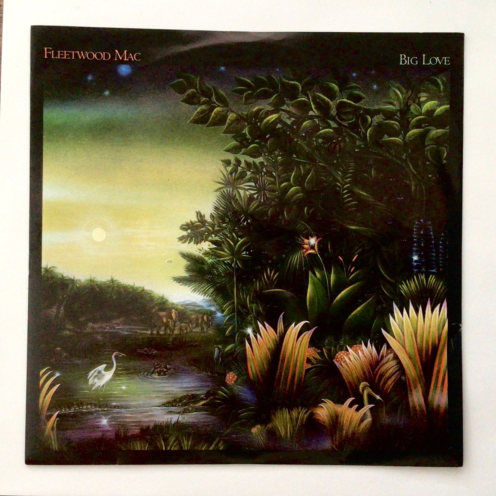 Fleetwood Mac - Big love, Ophalen of Verzenden, Zo goed als nieuw, Pop