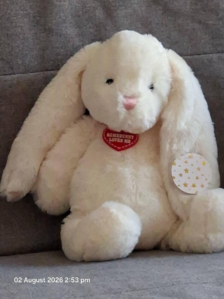 Nieuw! Jellycat Bashful Cream Bunny Knuffel - Met Label, Jellycat, Nijntje, Ophalen of Verzenden, Wit