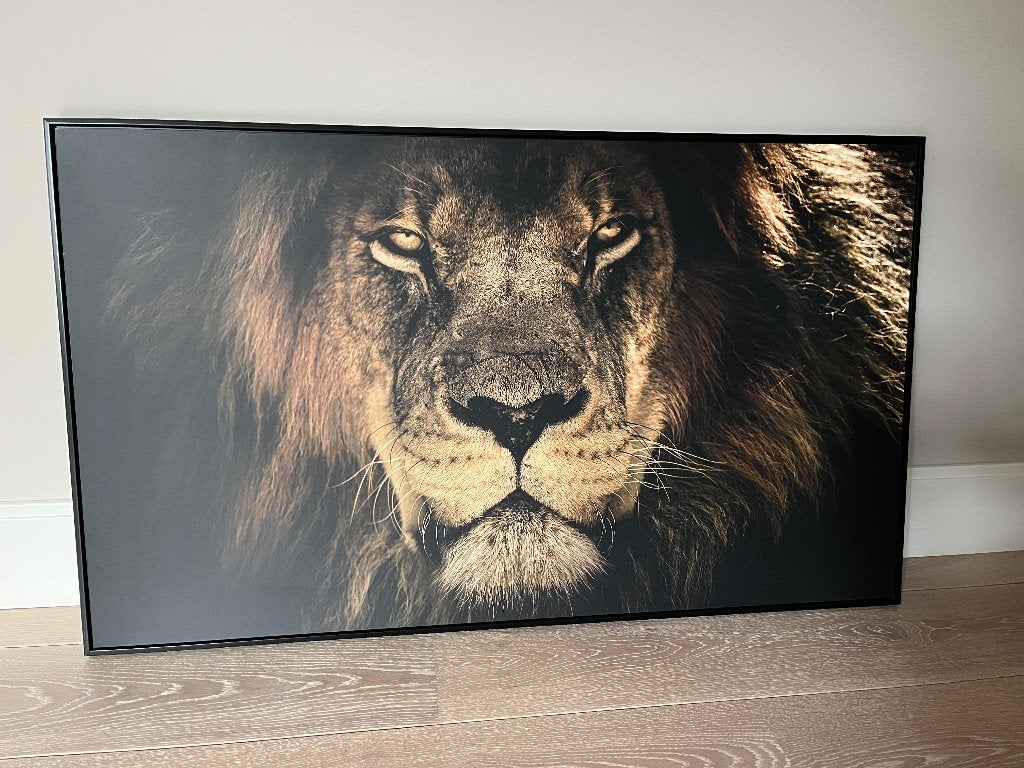 Schilderij leeuw met zwarte lijst 70 x 118 cm, Huis en Inrichting, Ophalen, 50 – 75, Zo goed als nieuw, Schilderij