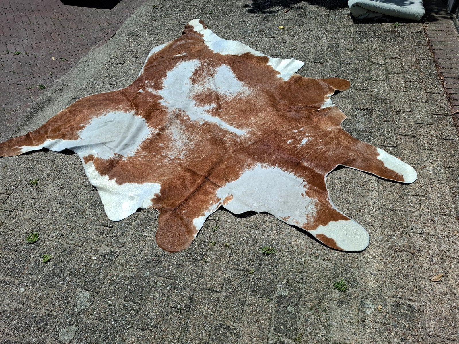 Koeienhuid - Bruin/Wit - Gebruikt met slijtageplekken, Gebruikt, 100 tot 150 cm, Ophalen of Verzenden, 150 tot 200 cm