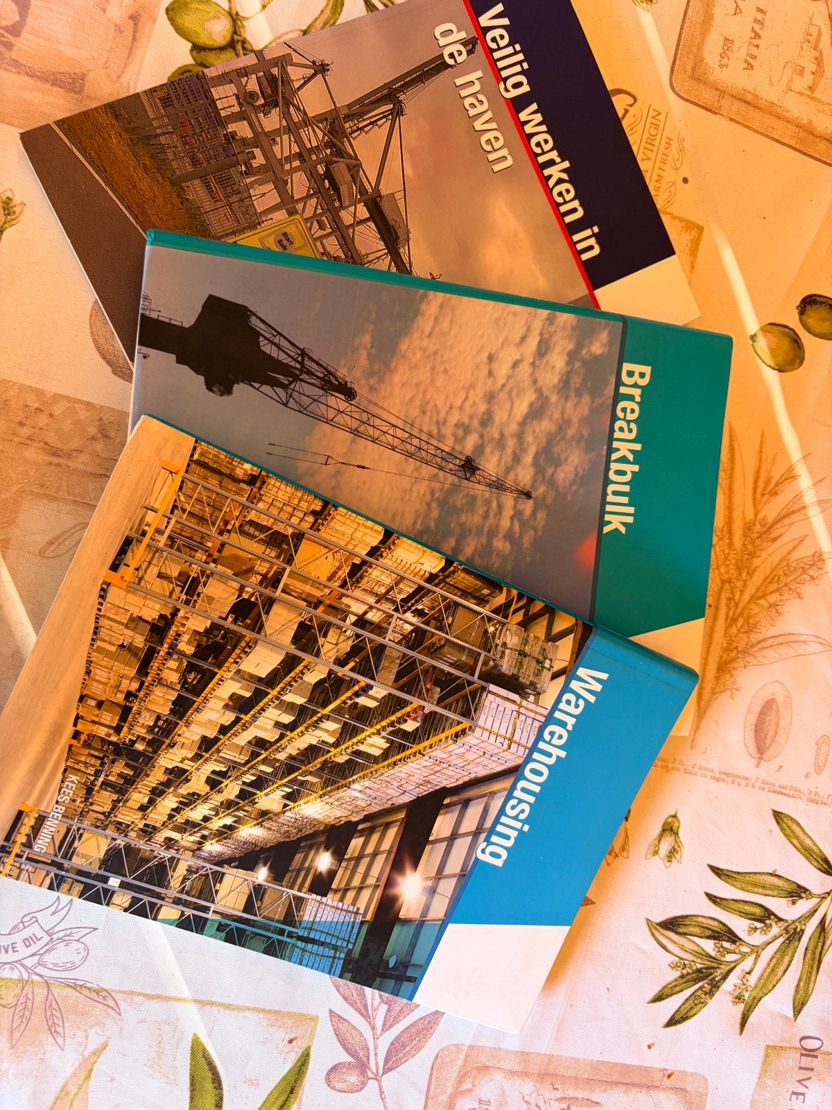 Leerboeken Breakbulk, Warehousing, Veilig werken in de haven, Ophalen of Verzenden, Zo goed als nieuw, MBO