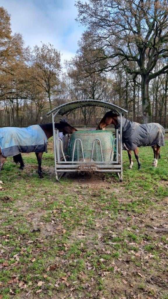 Pensionstal Heijen, Dieren en Toebehoren, Stalling