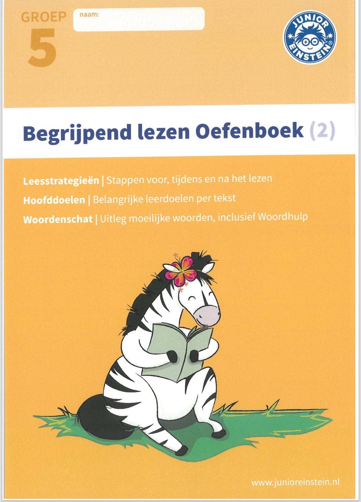 Digitaal Junior Einstein Begrijpend Lezen Groep 5 (3 boeken), Boeken, Ophalen, Zo goed als nieuw, Overige niveaus, Nederlands