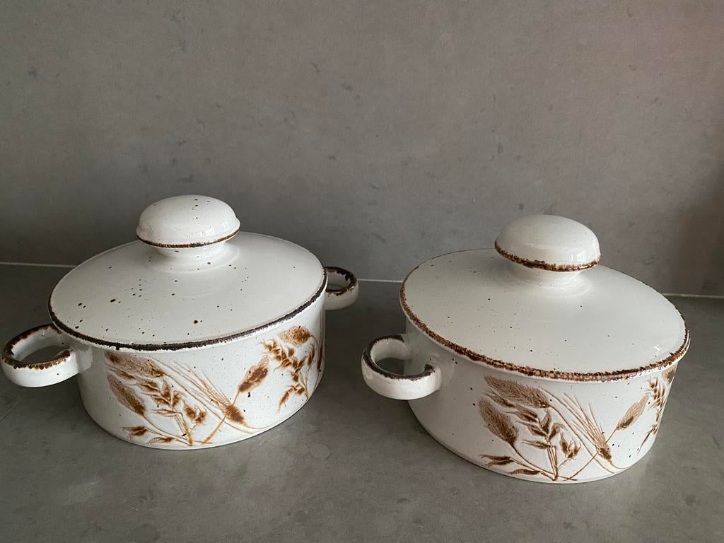 2 schaaltjes met deksel Wedgwood Midwinter Wild Oats, Ophalen of Verzenden, Wedgwood, Porselein, Schaal of Schalen