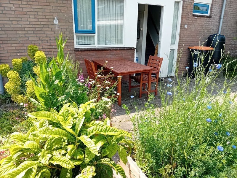 NIEUW! Woonruimte te huur Het Zwammerveld, Valkenburg