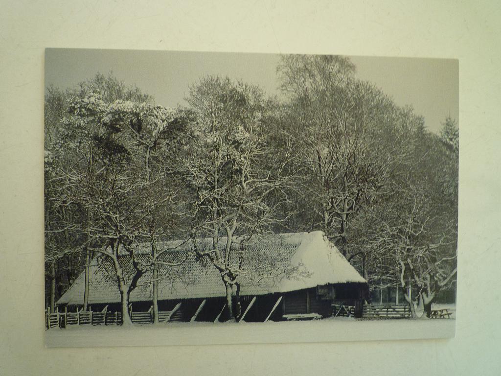 Art unlimited kaart Loedense bos Veluwe door Martin Kers, Ophalen of Verzenden, 1940 tot 1960, Gelderland