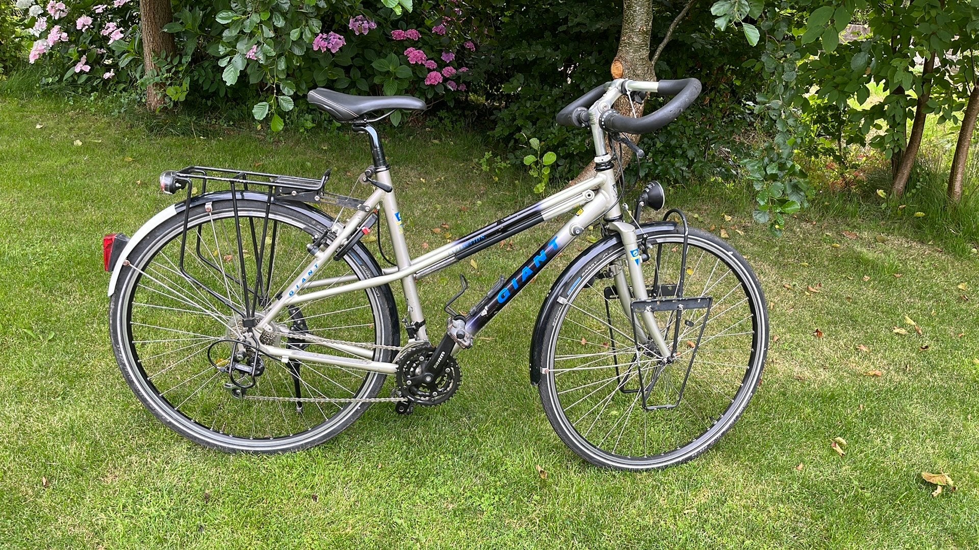 Giant Expedition dames vakantiefiets izgst, Ophalen, Giant, Meer dan 20 versnellingen, 53 tot 56 cm