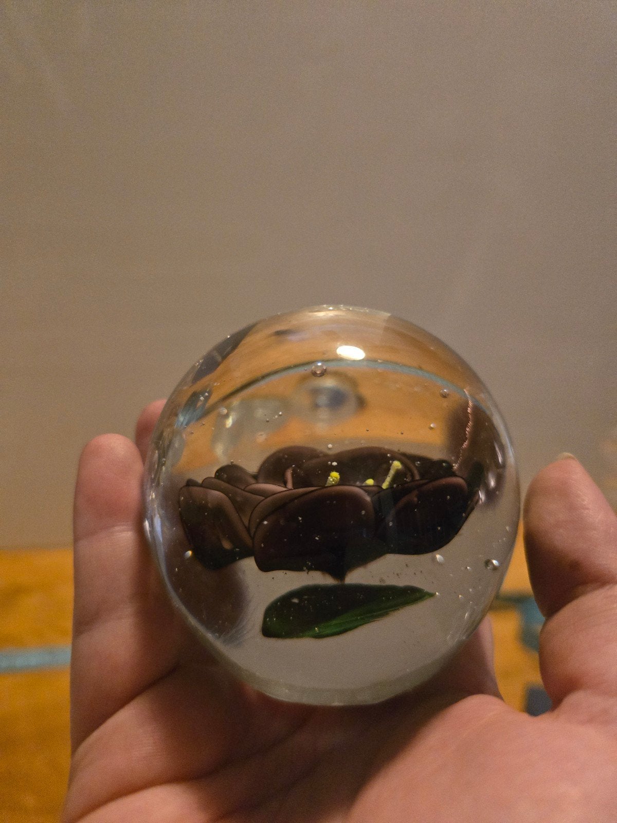 Kristallen bollen met bloem en bubbels, Ophalen