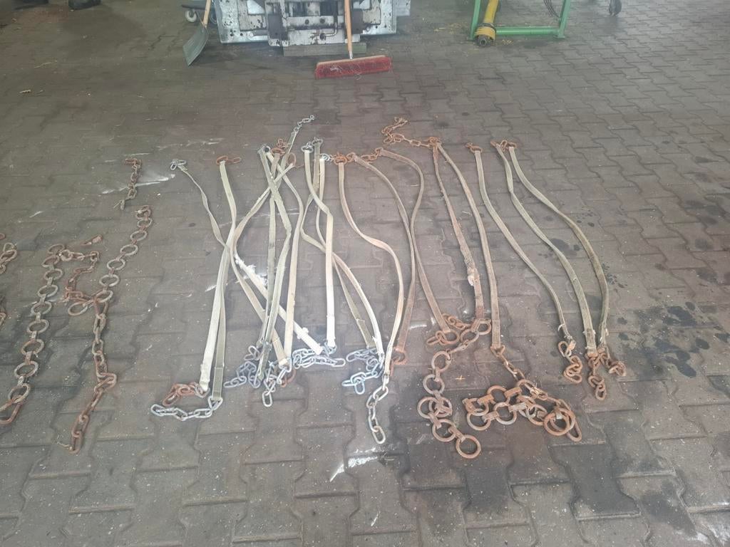 Halsband voor koeien, Ophalen, Vee
