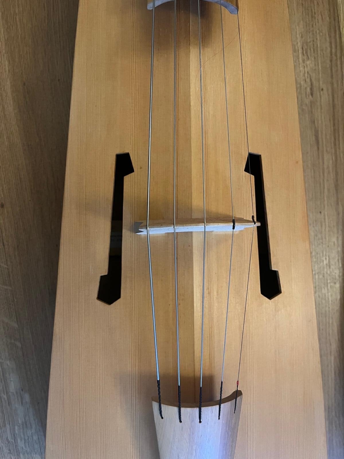 Unieke 5-snarige Vedel: Cello, Viola da Gamba, Chrotta, Ophalen, Gebruikt