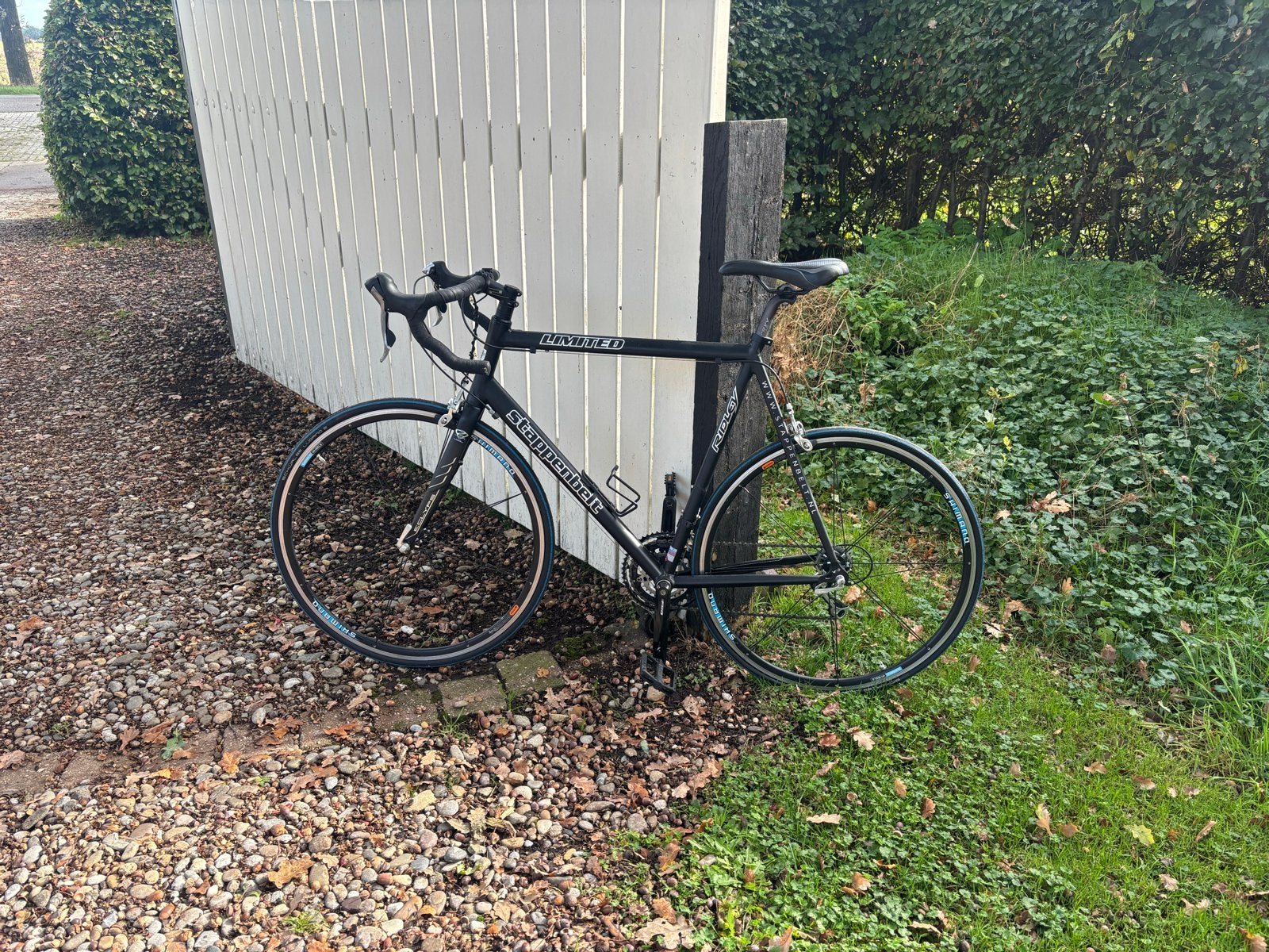 Stappenbelt Ridley Racefiets - Limited Edition, 28 inch, Gebruikt, Aluminium, 15 tot 20 versnellingen