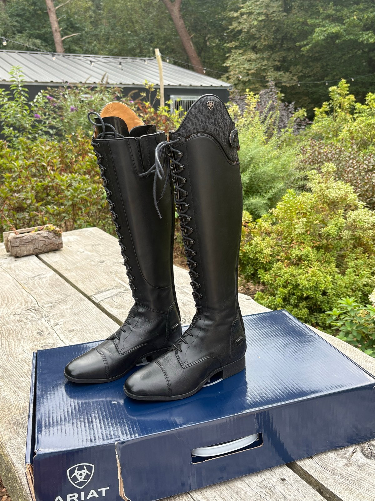 Ariat palisade Lace maat 39, Ophalen of Verzenden