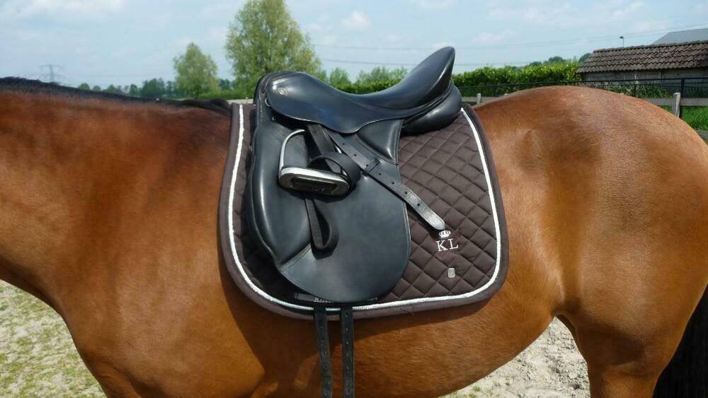 Kingsland zadeldekje Maat: Pony/Cob, Cob (M), Nieuw, Ophalen of Verzenden, Bruin