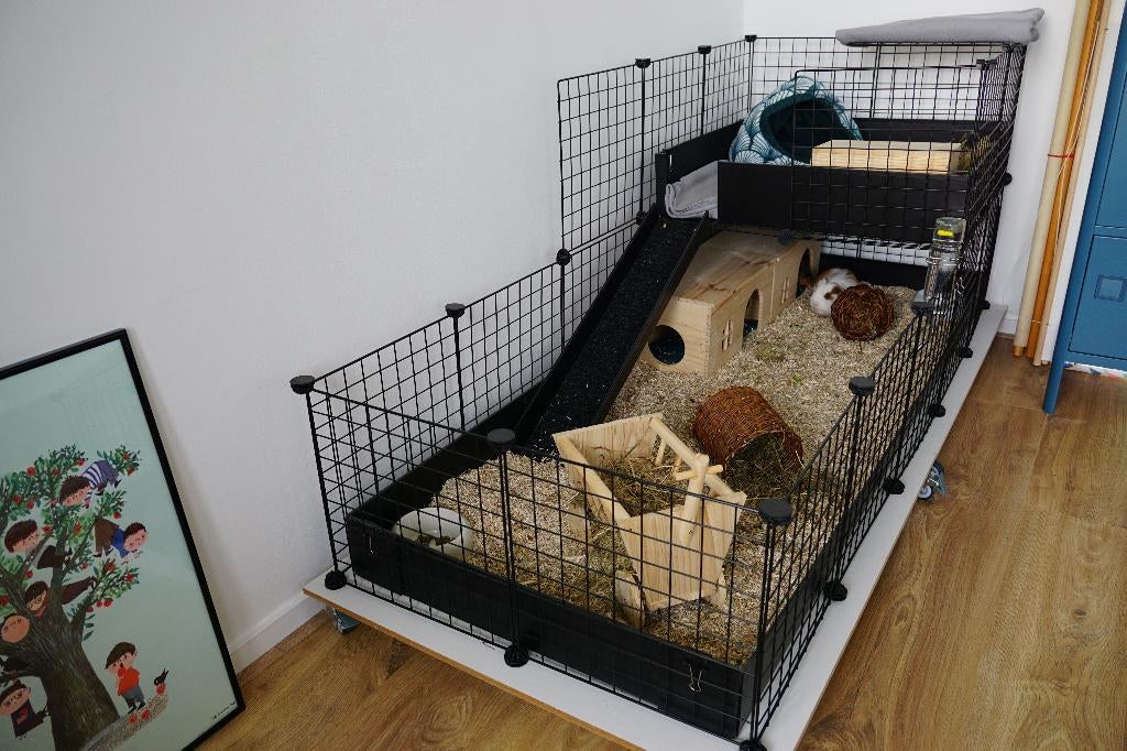 Caviadraadkubus kooi (184x75,5 cm), Kooi, 110 cm of meer, Zo goed als nieuw, Cavia