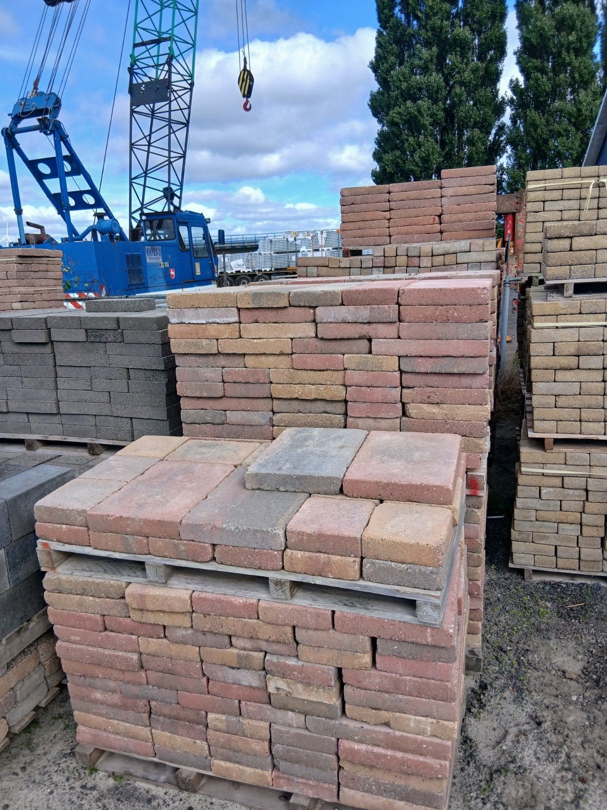 partij wildverband 40 m plus  Tamboer kleur, Ophalen, Nieuw, Beton, Terrastegels