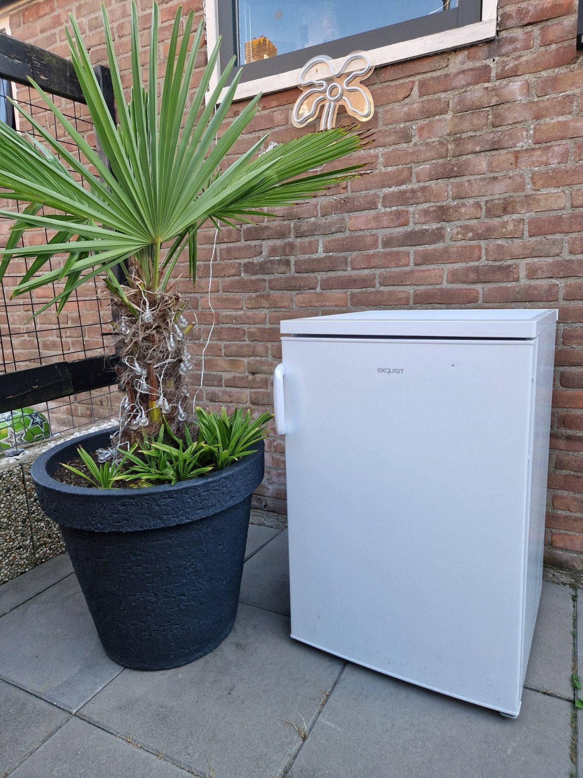 Exquisit koelkast, Ophalen of Verzenden, Minder dan 60 cm