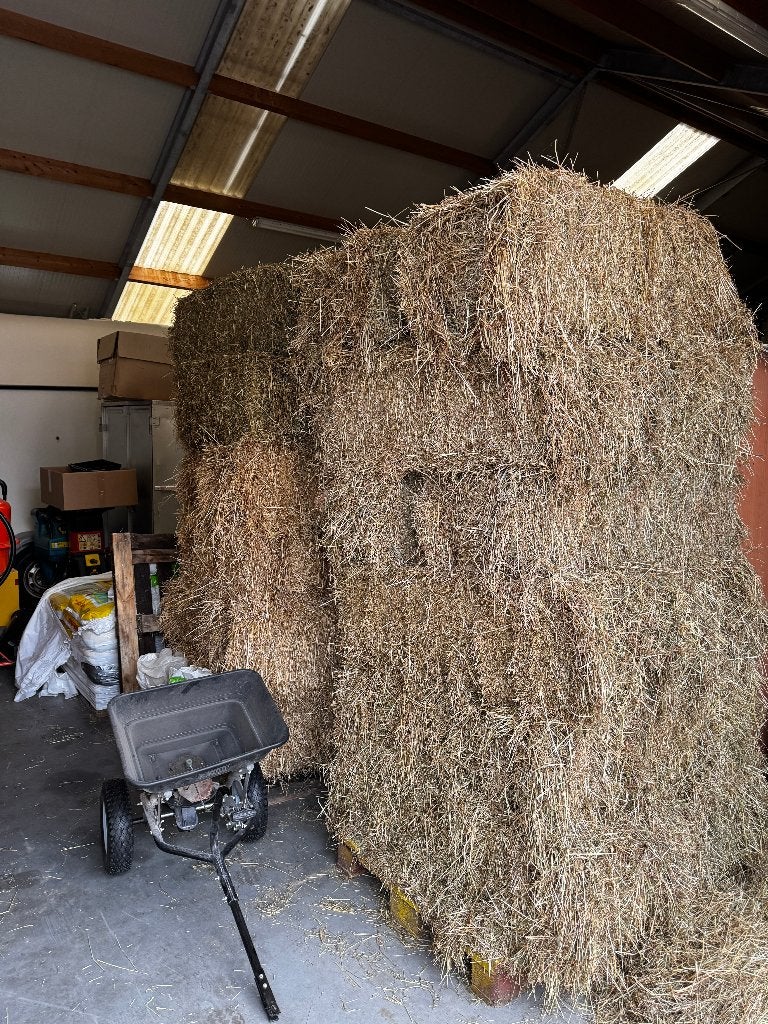 hooibalen te koop, Dieren en Toebehoren, Dierenvoeding, Ophalen, Vee