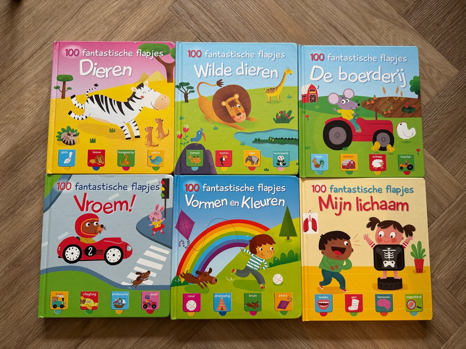 6x 100 Fantastische Flapjes Boeken - Zo goed als nieuw, Ophalen of Verzenden, Zo goed als nieuw, Uitklap-, Voel- of Ontdekboek