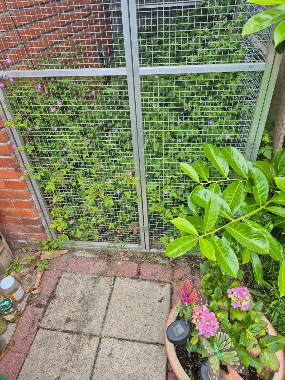 Volière, Dieren en Toebehoren, Ophalen, Aluminium, Volière