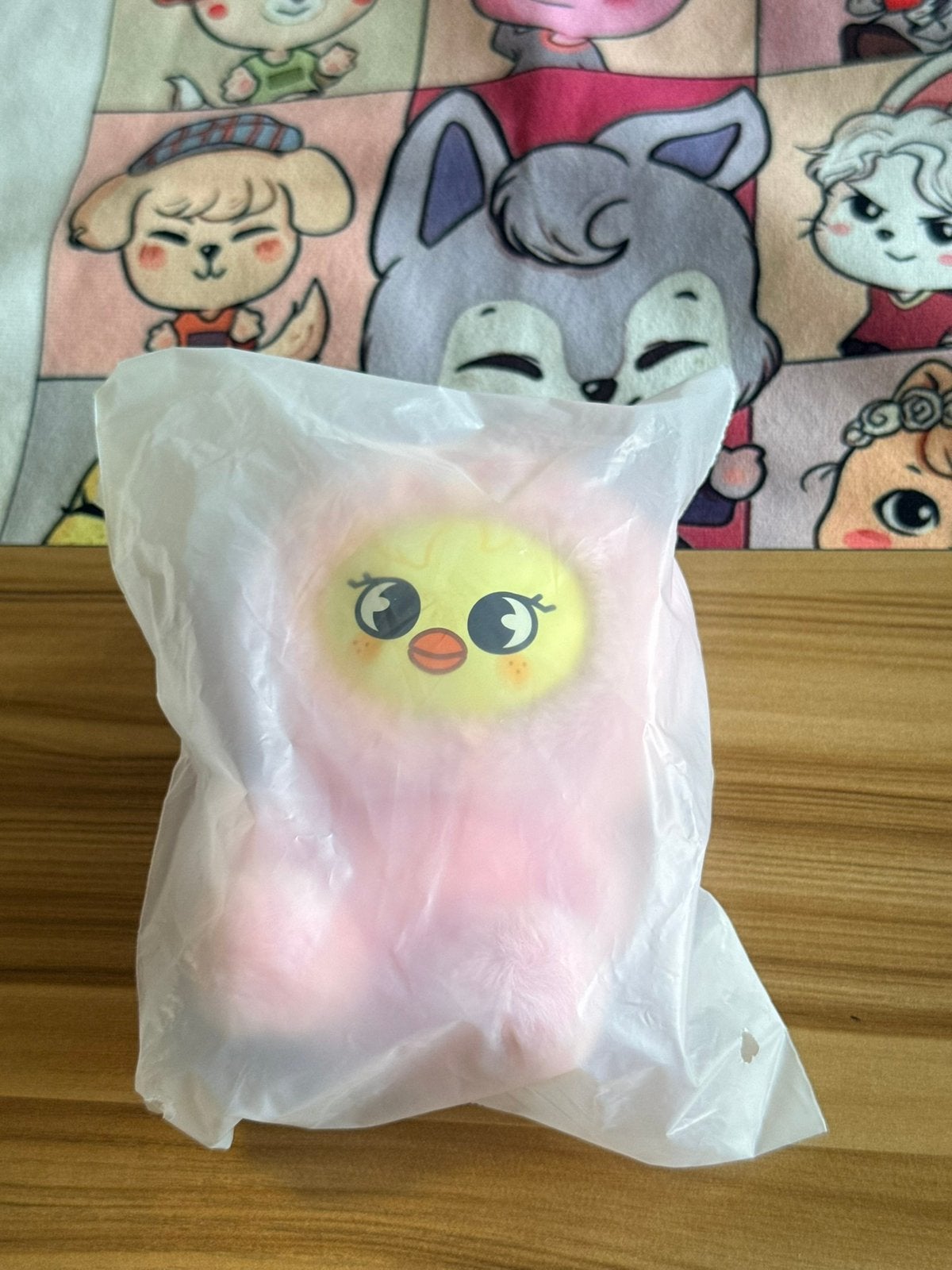 Stray Kids BbokAri skzoo plush toy version, Ophalen of Verzenden, Zo goed als nieuw, Foto of Kaart