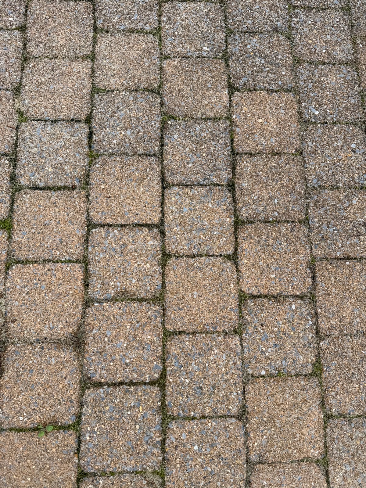 Tuintegels 15x15x6 cm en baksteen tegels, Tuin en Terras, Ophalen, Gebruikt, 10 m² of meer, Beton