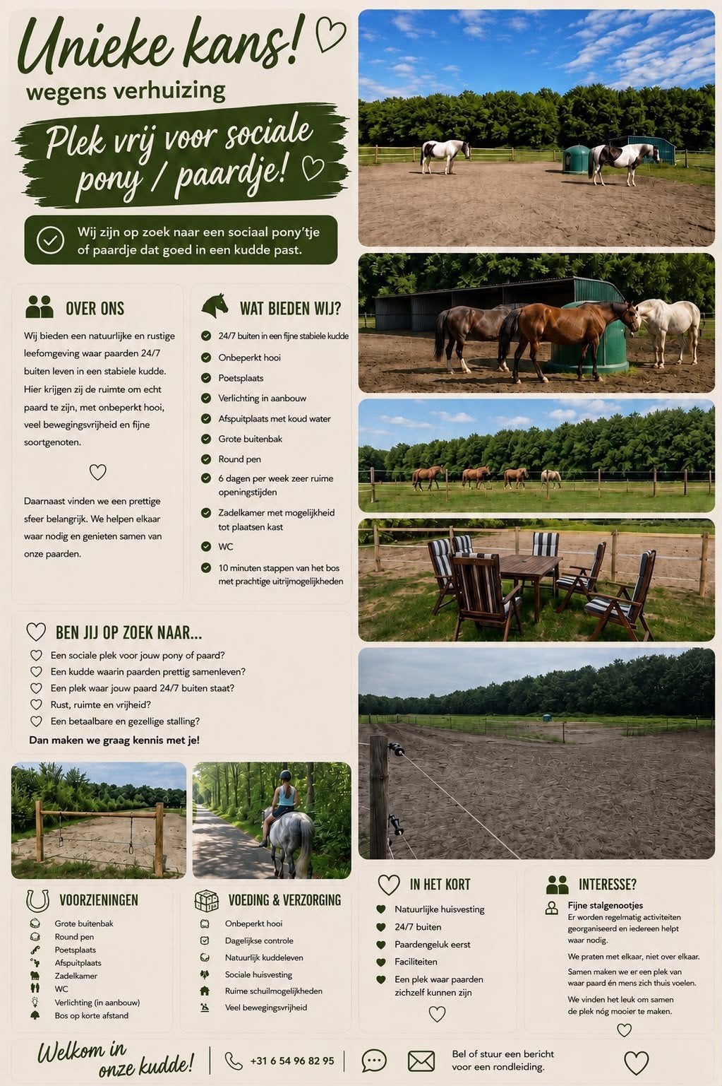 weidegang buiten 24/7 Hollandsche Rading, Dieren en Toebehoren, Stalling en Weidegang, Weidegang